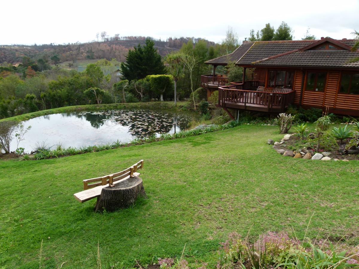 Fish Eagle Lodge Книсна Екстериор снимка